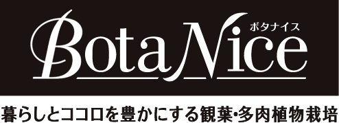 もう育てるときに悩まない！観葉植物・多肉植物の栽培をサポートするBotaNice（ボタナイス）