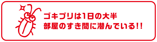 ゴキブリは1日の大半部屋のすき間に潜んでいる!!