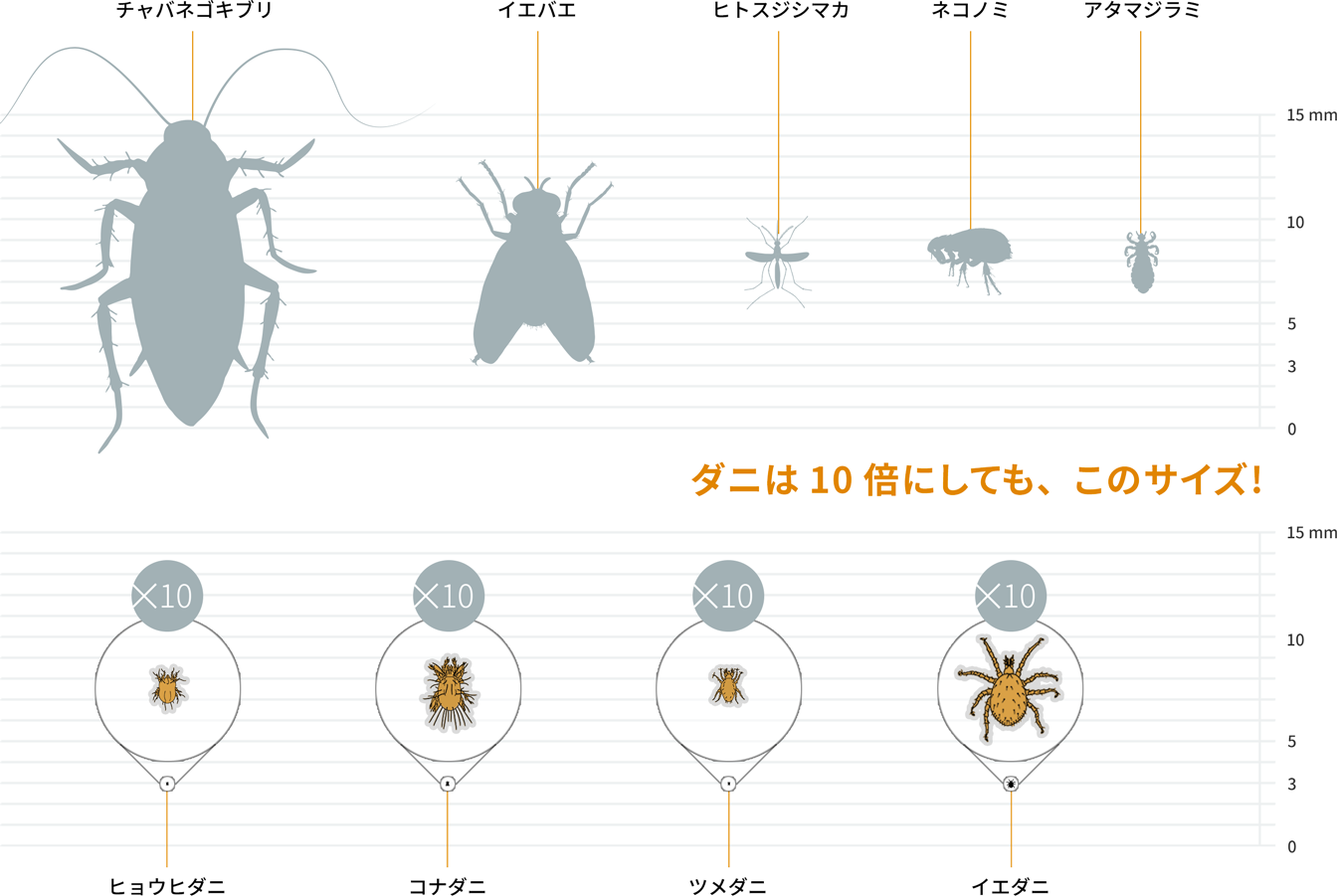 ダニは10倍にしても、このサイズ!