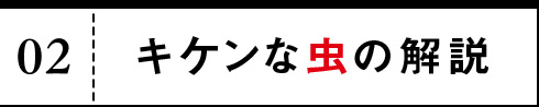 02 キケンな虫の解説