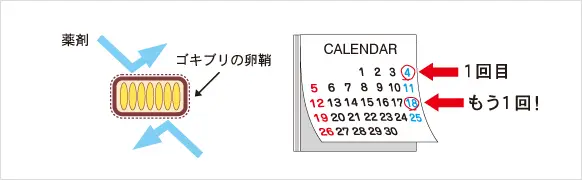 駆除したら次は2～3週間後に再度使用