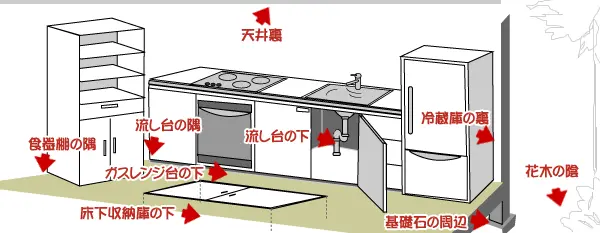 天井裏・食品棚の隅・流し台の隅・ガスレンジ台の下・廊下収納庫の下・流し台の下・冷蔵庫の裏・基礎石の周辺・花木の陰