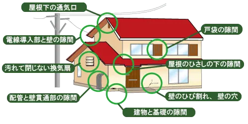 屋根下の通気口・電線導入部と壁の隙間・汚れて閉じない換気扇・配管と壁貫通部の隙間・建物と基礎の隙間・壁のひび割れ、壁の穴・屋根のひさしの下の隙間・戸袋の隙間