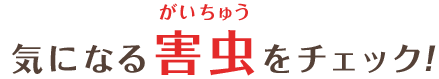 気になる害虫をチェック！