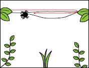 クモの巣の張り方