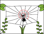 クモの巣の張り方