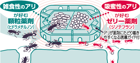 見つけたアリを駆除しても、次々にやってくる！いったいどうすれば…