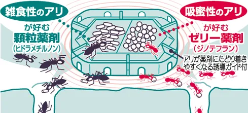 雑食性のアリが好む顆粒薬剤(ヒドラメチルノン) 吸蜜性のアリが好むゼリー薬剤(ジノテフラン)