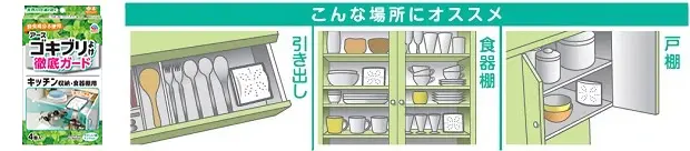 ゴキブリは嫌だけど殺虫剤は不安。そんなご家庭におすすめ!