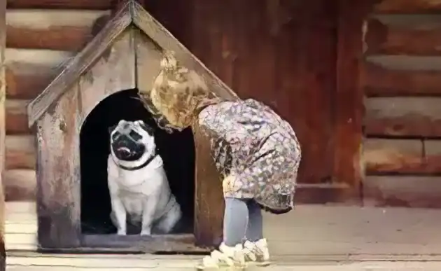 犬小屋