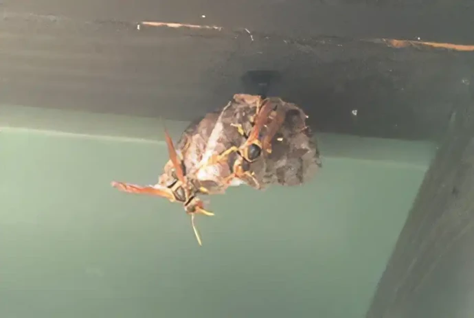 雨風をしのげる場所は特に注意