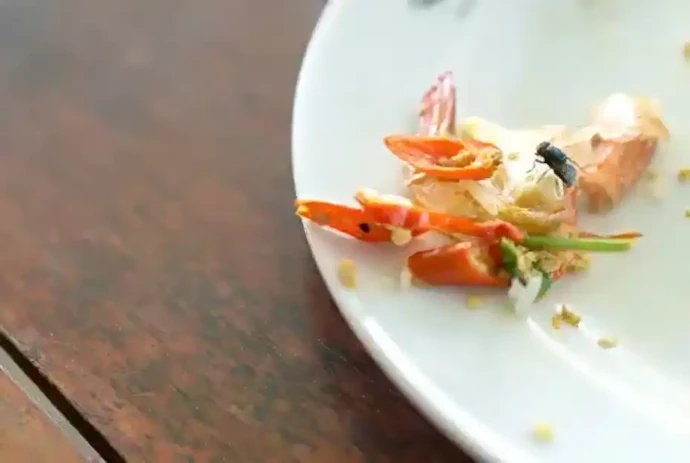 汚物や食品