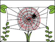 クモの巣の張り方