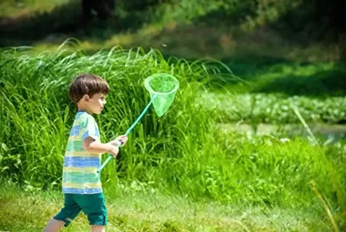 虫取りをする子ども