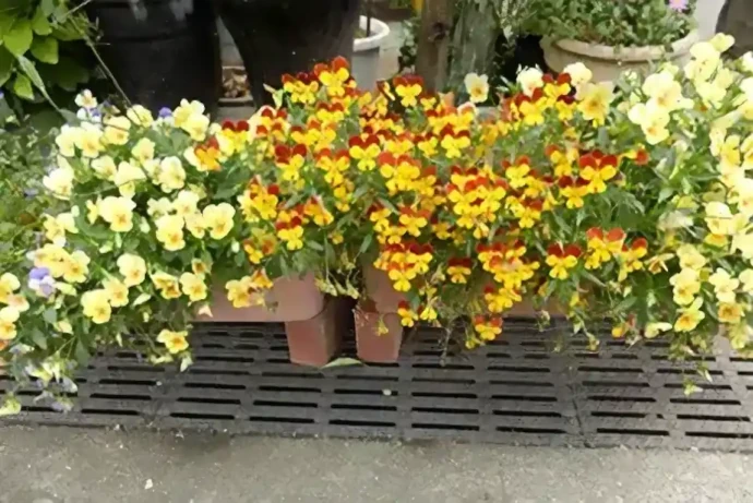 風通しをよくした植木鉢やプランター