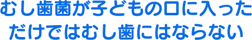 むし歯菌が子どもの口に入っただけではむし歯にはならない