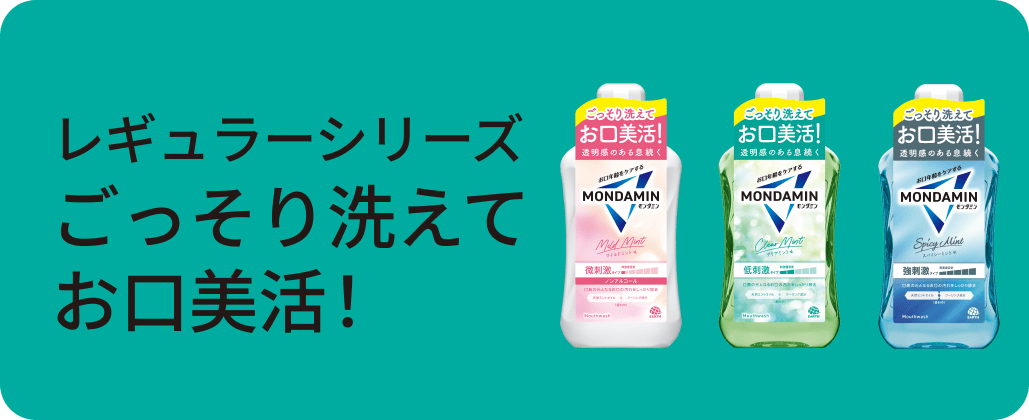 レギュラーシリーズ ごっそり洗えてお口美活！