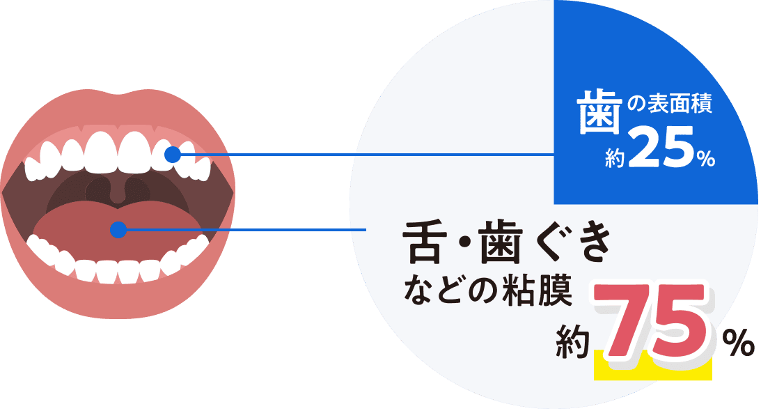 「歯の表面積約25%」「舌・歯ぐきなどの粘膜約75%」の円グラフ
