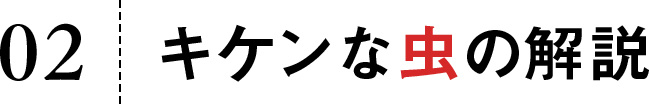 キケンな虫の解説