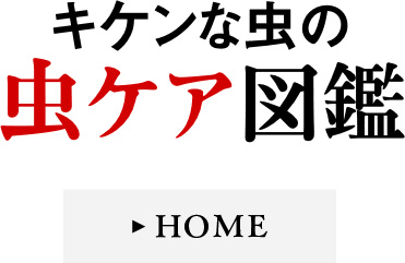 キケンな虫図鑑 HOME