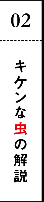 02 キケンな虫の解説