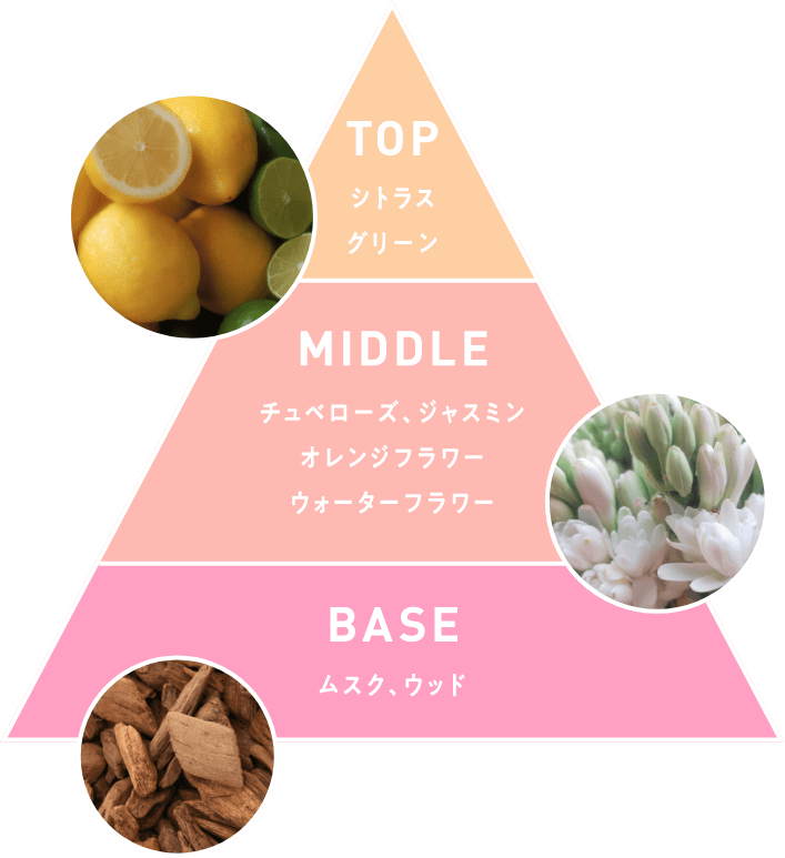 TOP シトラス グリーン MIDDLE チュベローズ、ジャスミン オレンジフラワー ウォーターフラワー BASE ムスク、ウッド