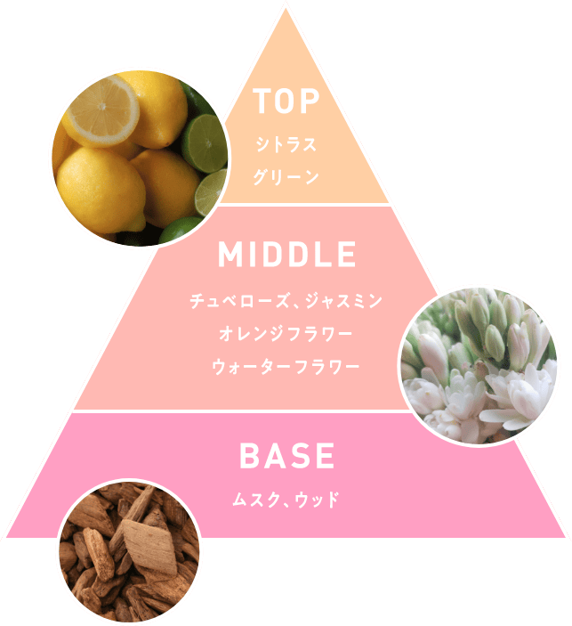TOP シトラス グリーン MIDDLE チュベローズ、ジャスミン オレンジフラワー ウォーターフラワー BASE ムスク、ウッド