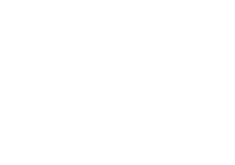 明日は掘り出し物を見つける日