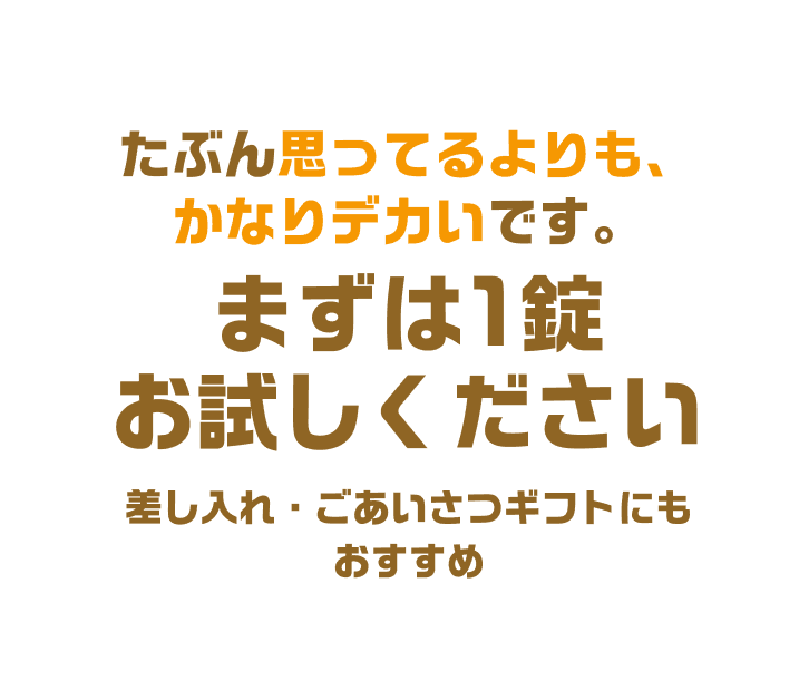 たぶん思ってるよりも、かなりデカいです。まずは1錠お試しください 差し入れ・ごあいさつギフトにもおすすめ