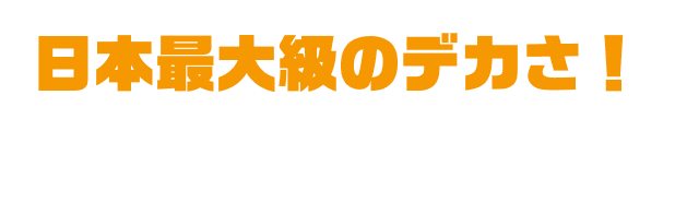 日本最大級のデカさ! ガツンと回復メカニズム