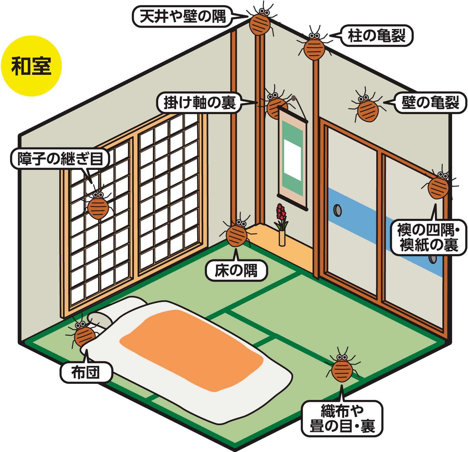 天井や壁の隅、柱の亀裂、襖の亀裂、襖の四隅や襖紙の裏、床の隅、織布や畳の目や裏、掛け軸の裏、障子の継ぎ目、布団などにトコジラミがいる可能性があります。