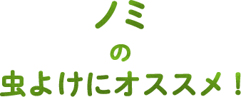 ノミの虫よけにオススメ！