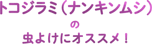 トコジラミ（ナンキンムシ）の虫よけにオススメ！