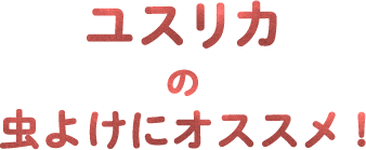 ユスリカの虫よけにオススメ！