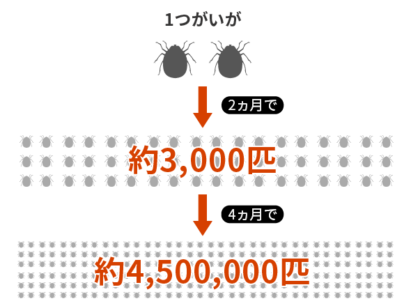 1つがいが2ヵ月で約3,000匹 4ヵ月で約4,500,000匹