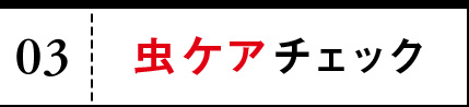 03 虫ケアチェック